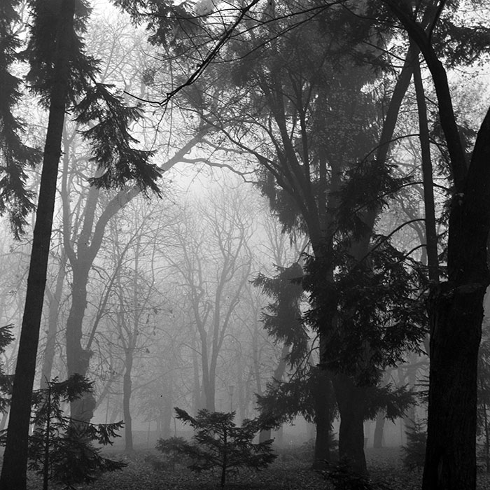 minerva_1986_c2_c5r1_004