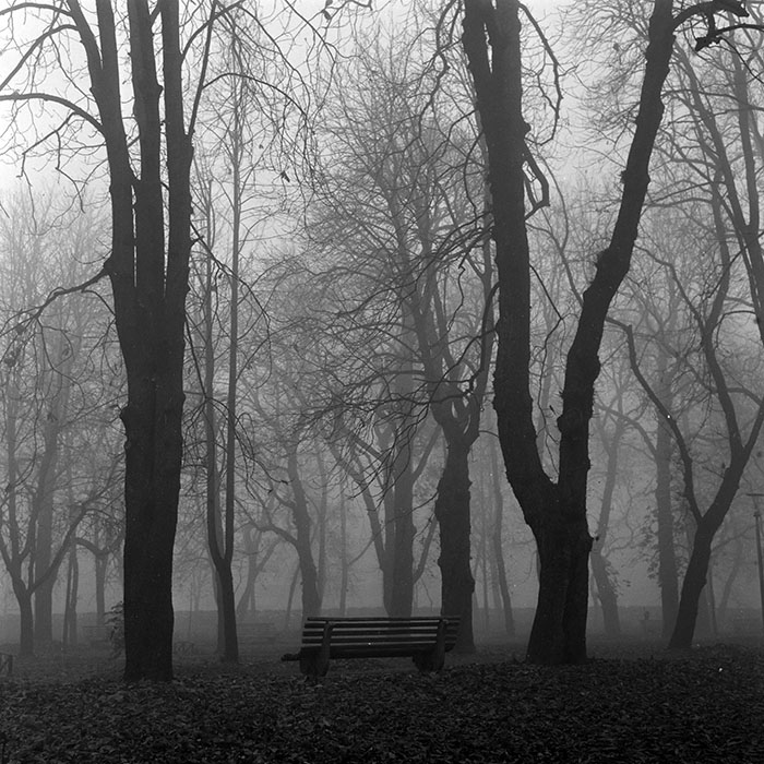 minerva_1986_c2_c5r1_005