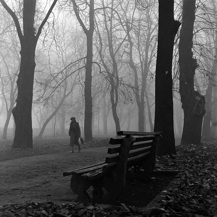 minerva_1986_c2_c5r1_006