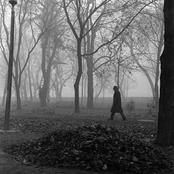 minerva_1986_c2_c5r1_007