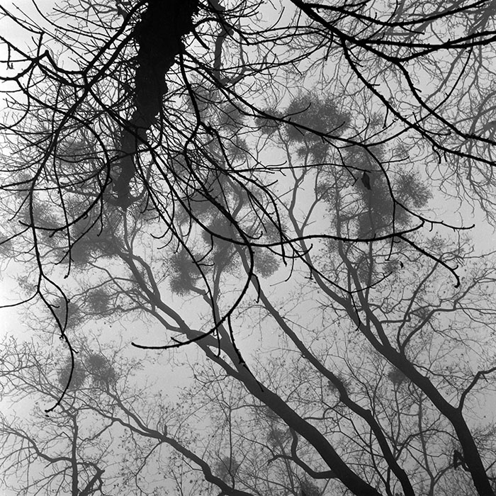 minerva_1986_c2_c5r1_008