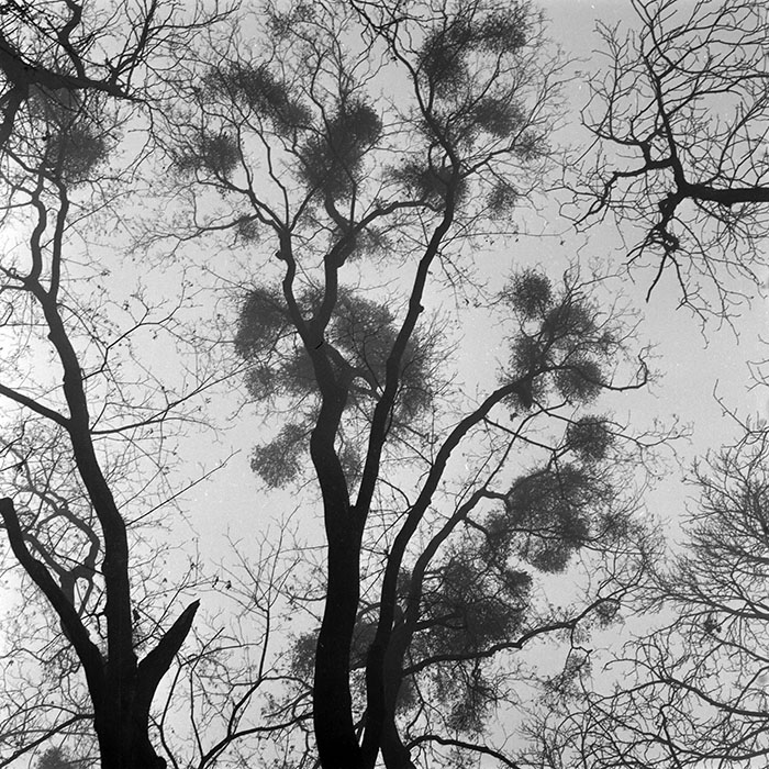 minerva_1986_c2_c5r1_009