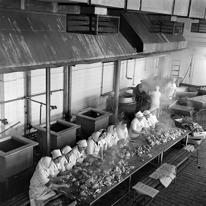 minerva_1986_c2_c5r3_001