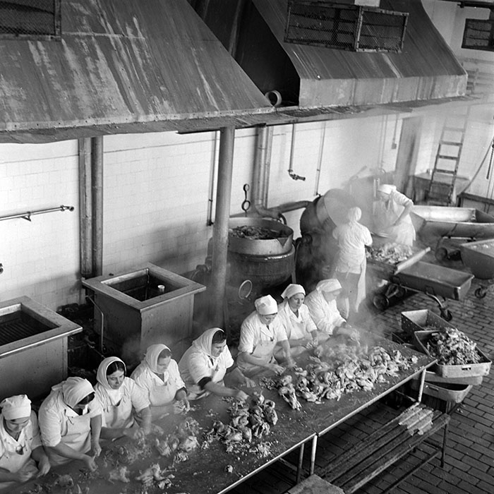 minerva_1986_c2_c5r3_002