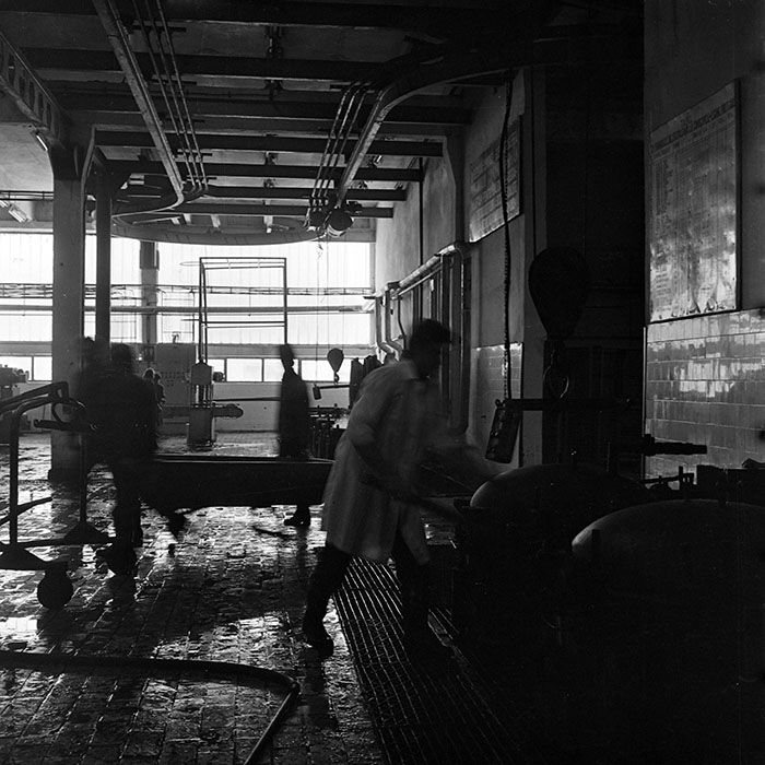 minerva_1986_c2_c5r3_003