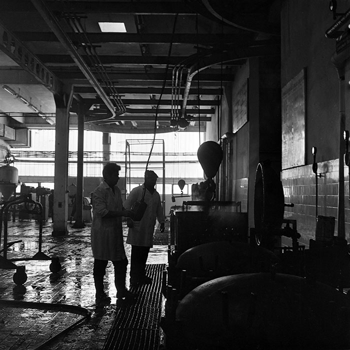 minerva_1986_c2_c5r3_004