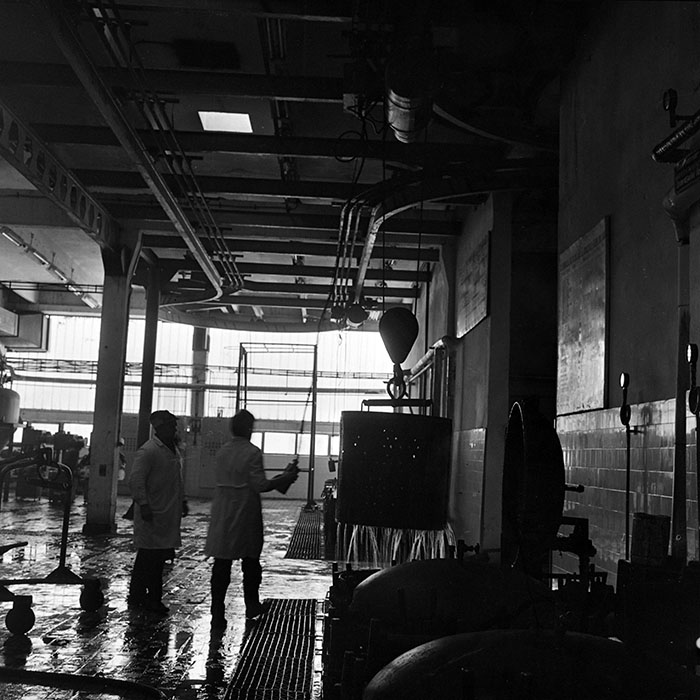 minerva_1986_c2_c5r3_005