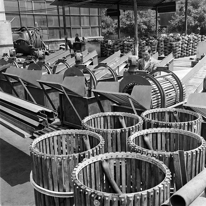 minerva_1986_c2_c9r4_003