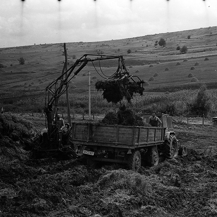 minerva_1986_c3_c10r2_006