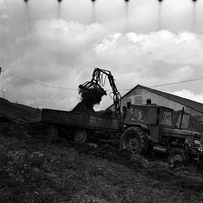 minerva_1986_c3_c10r2_008