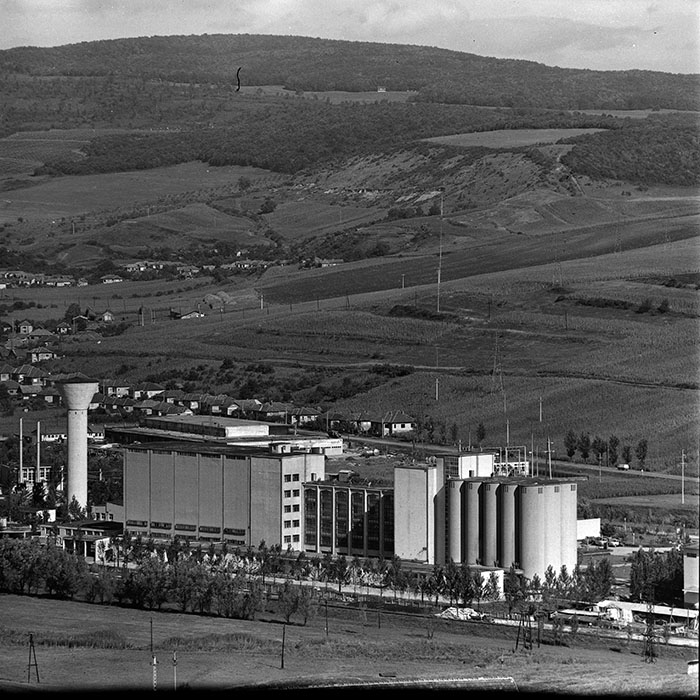 minerva_1986_c3_c1r1_003