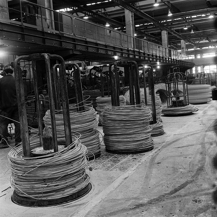 minerva_1986_c3_c1r2_006