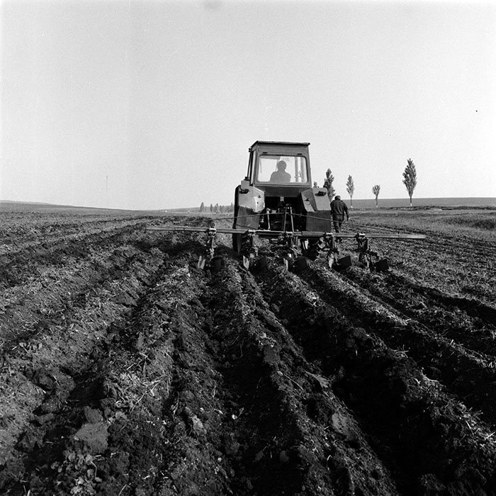 minerva_1986_c3_c1r2_013