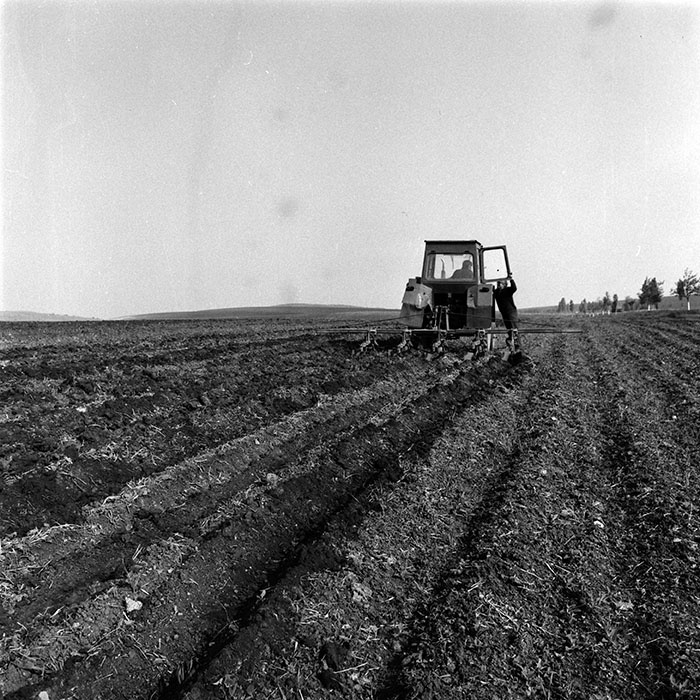 minerva_1986_c3_c1r2_014