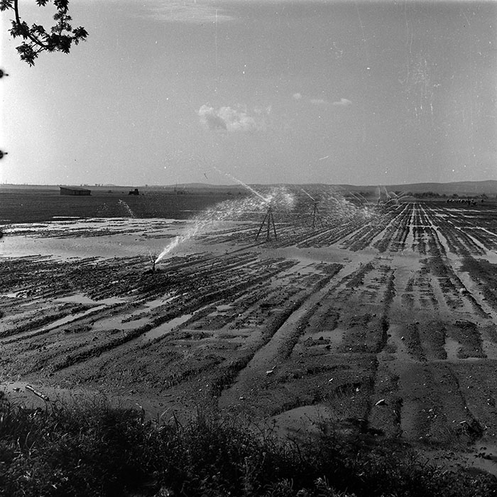 minerva_1986_c3_c1r3_003