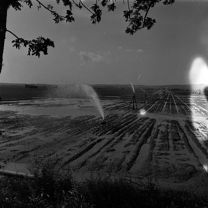 minerva_1986_c3_c1r3_004