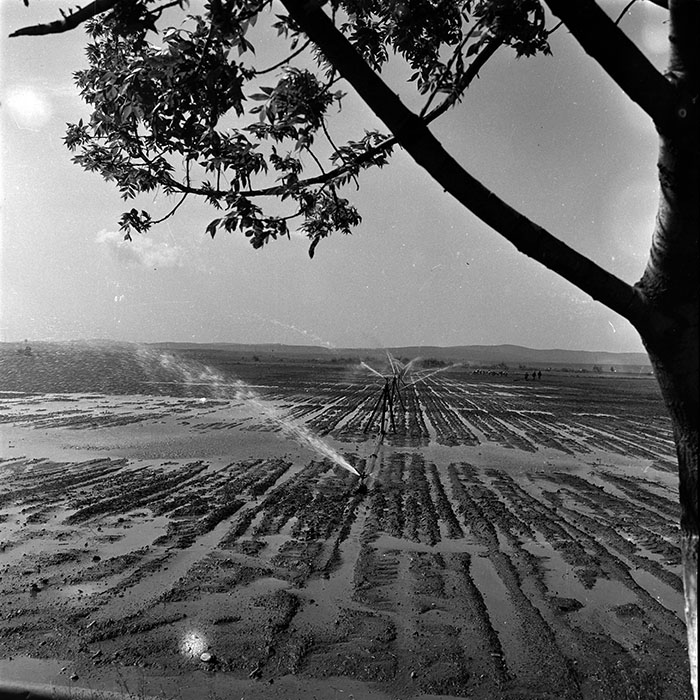 minerva_1986_c3_c1r3_005