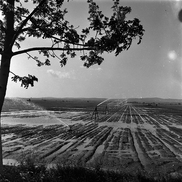 minerva_1986_c3_c1r3_006