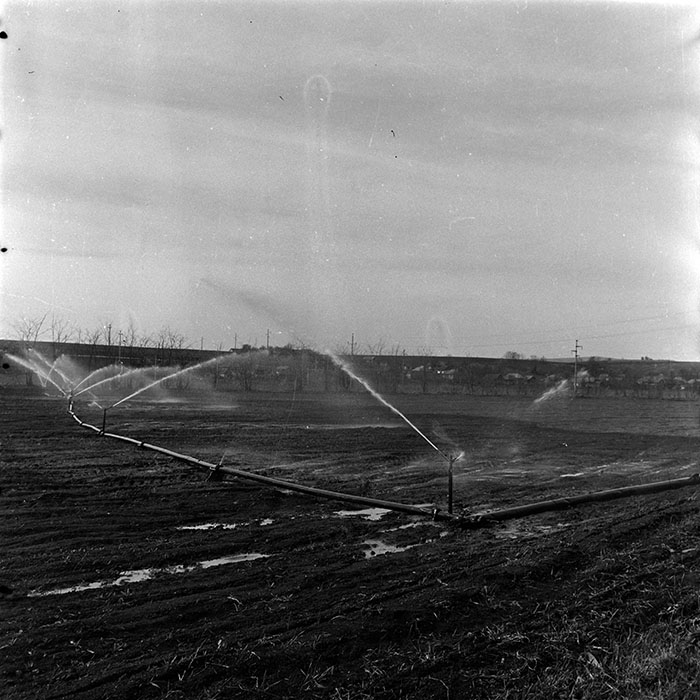 minerva_1986_c3_c1r3_007