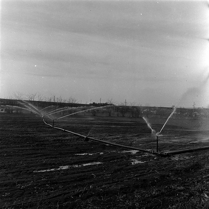 minerva_1986_c3_c1r3_008