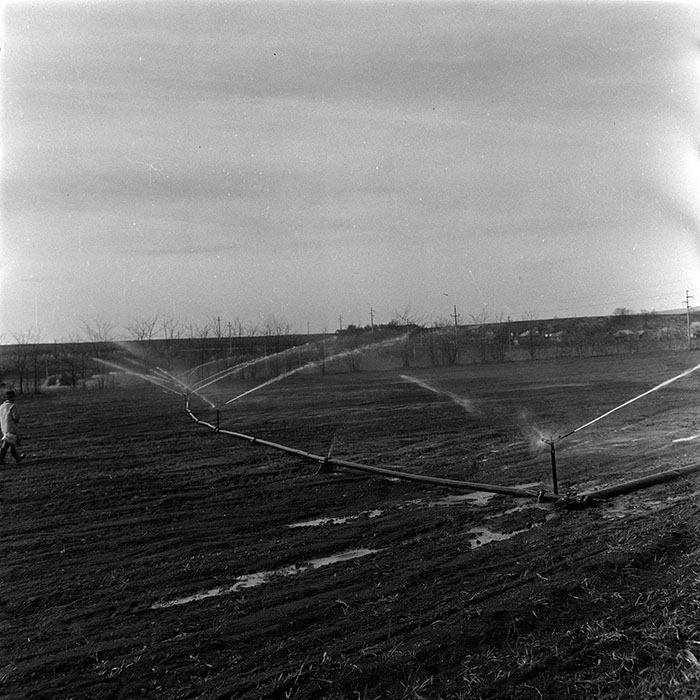 minerva_1986_c3_c1r3_009