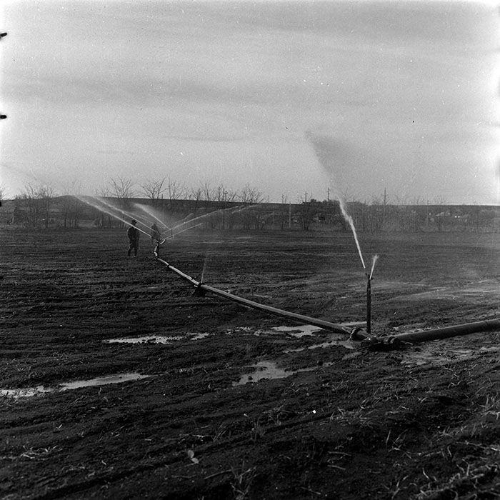 minerva_1986_c3_c1r3_010