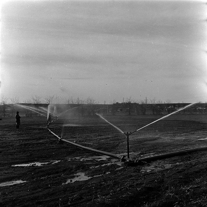 minerva_1986_c3_c1r3_011