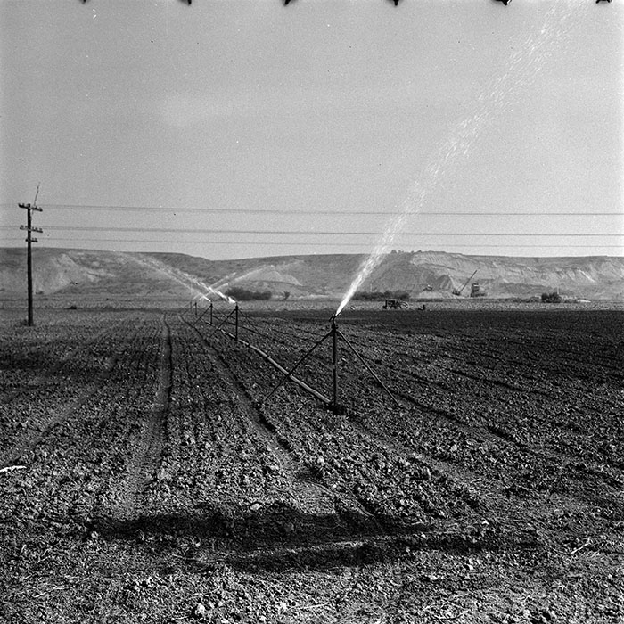 minerva_1986_c3_c1r3_012