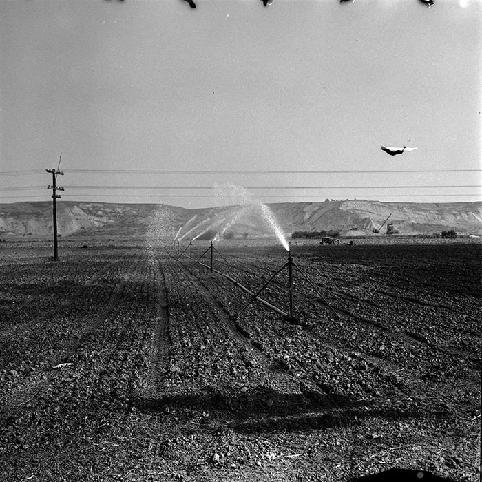 minerva_1986_c3_c1r3_013