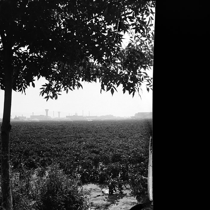 minerva_1986_c3_c1r3_014