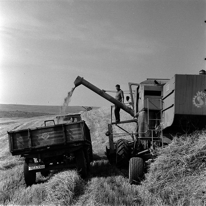 minerva_1986_c3_c1r3_018