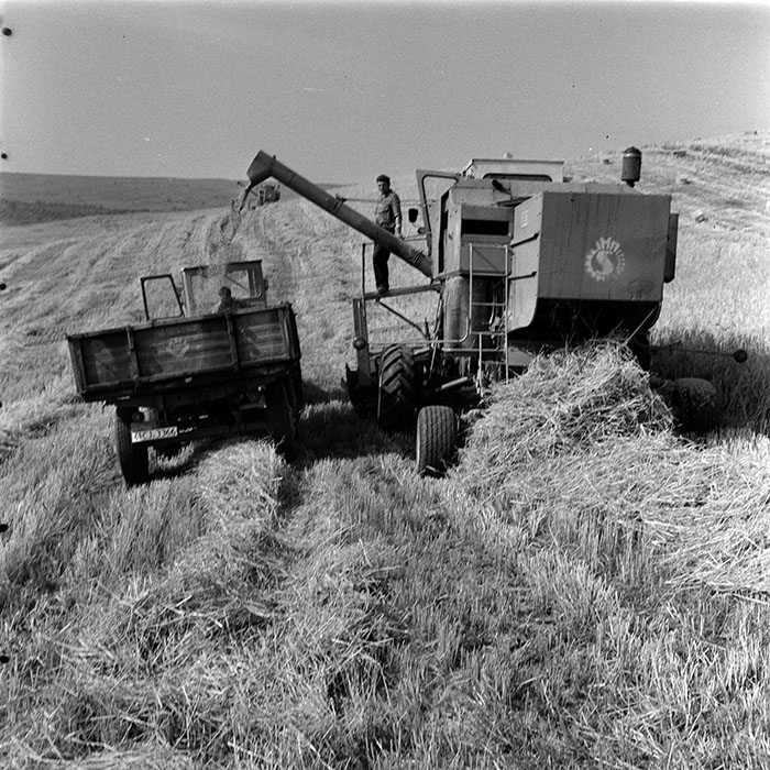 minerva_1986_c3_c1r3_019