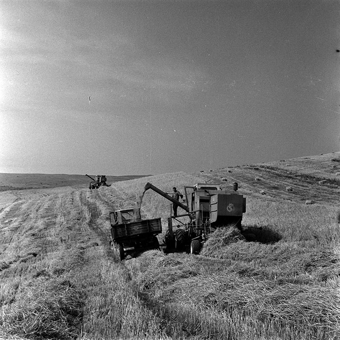 minerva_1986_c3_c1r3_020