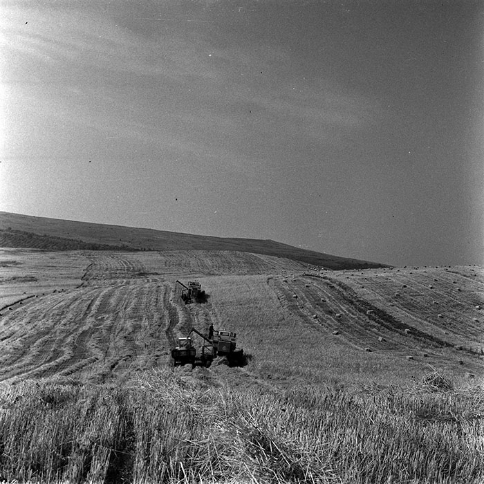 minerva_1986_c3_c1r3_021