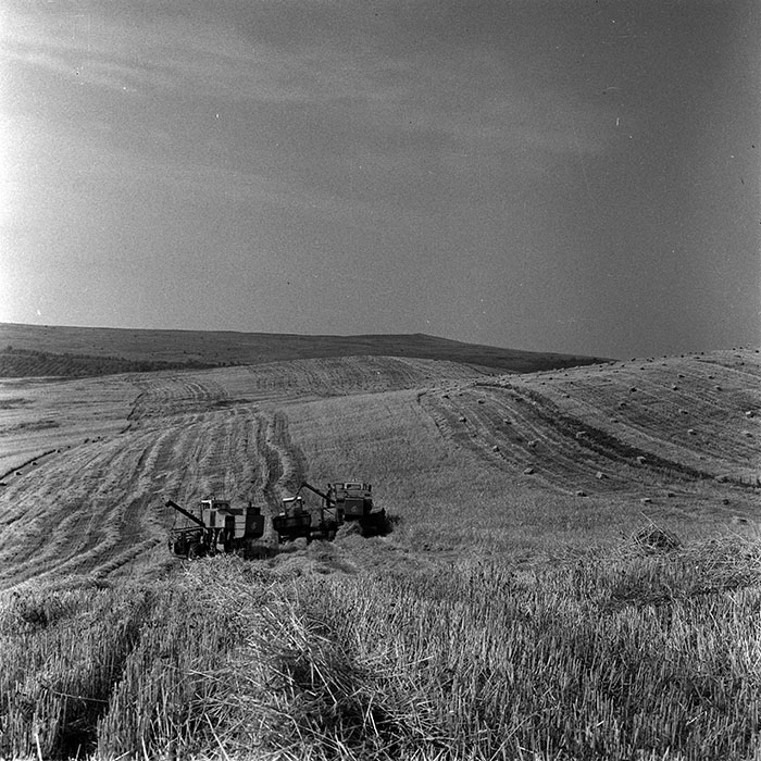 minerva_1986_c3_c1r3_022