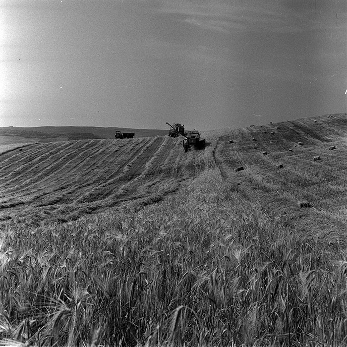 minerva_1986_c3_c1r3_023