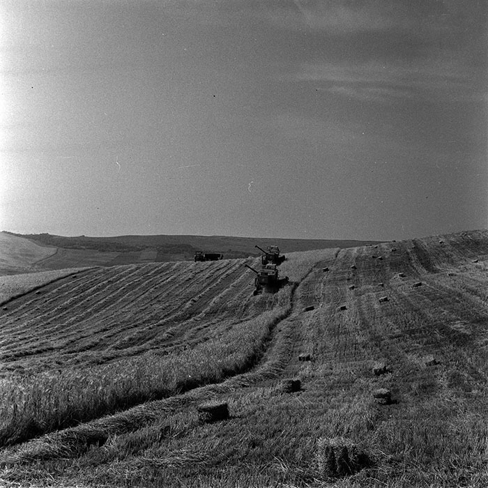 minerva_1986_c3_c1r3_024