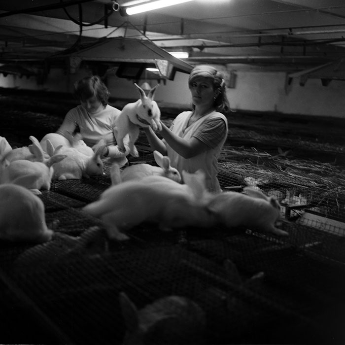 minerva_1986_c3_c1r3_027