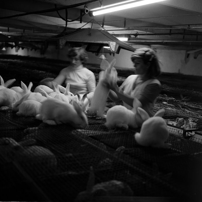 minerva_1986_c3_c1r3_028