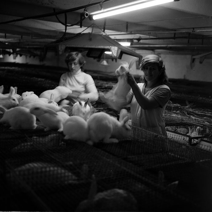 minerva_1986_c3_c1r3_029