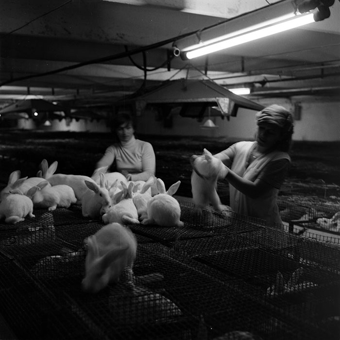 minerva_1986_c3_c1r3_032