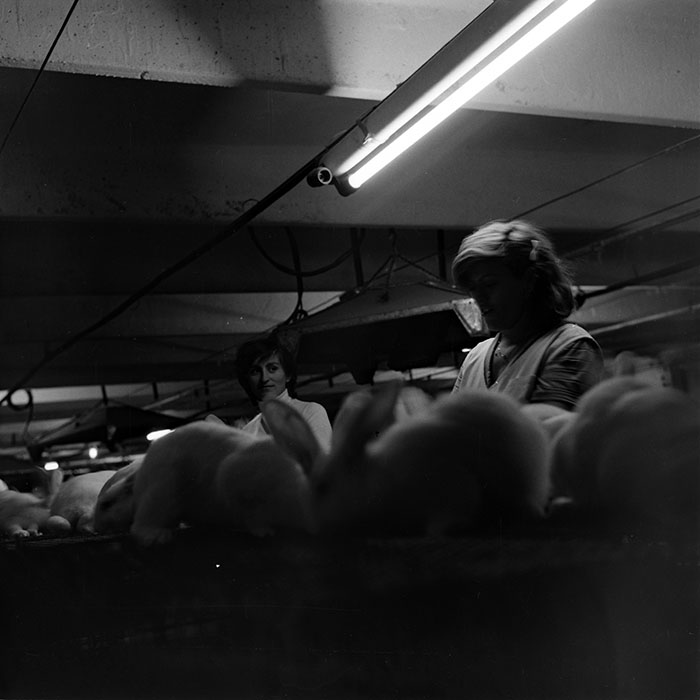 minerva_1986_c3_c1r3_034