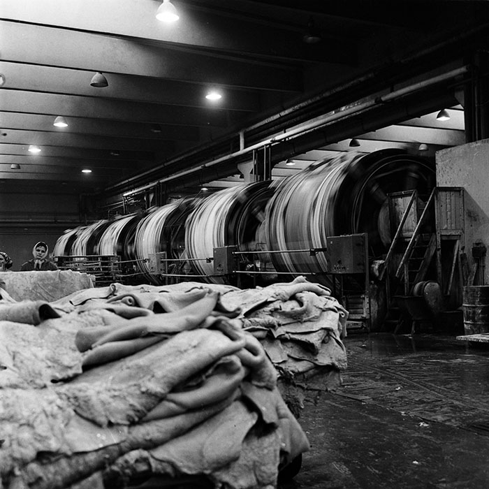 minerva_1986_c3_c1r4_001