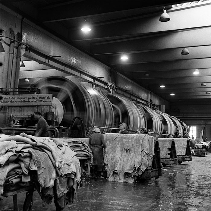 minerva_1986_c3_c1r4_003