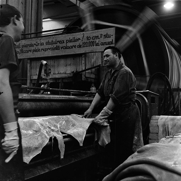 minerva_1986_c3_c1r4_006