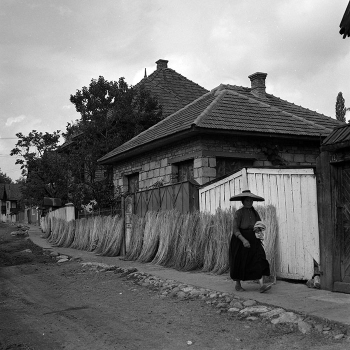 minerva_1986_c3_c2r2_001