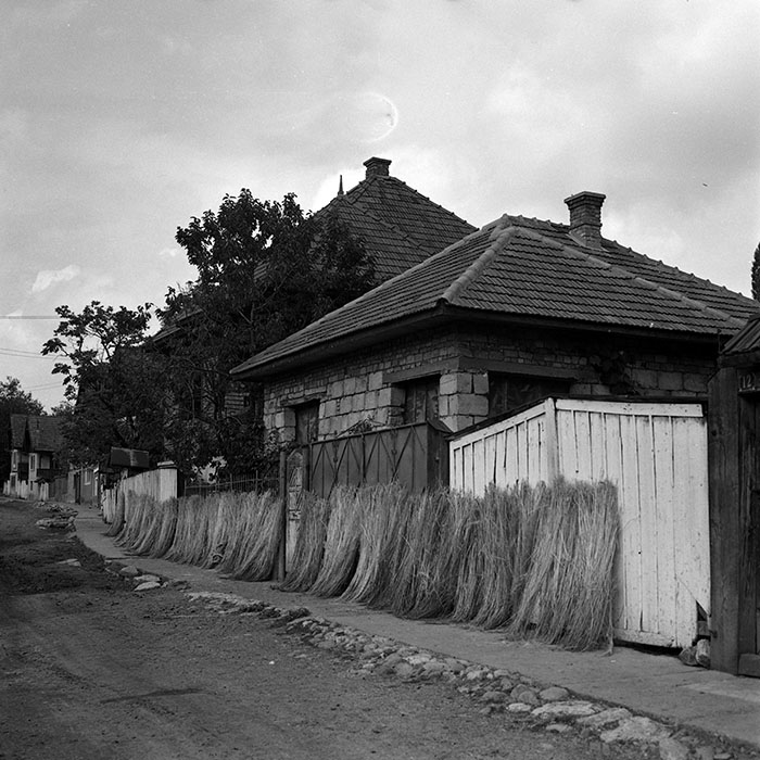 minerva_1986_c3_c2r2_002