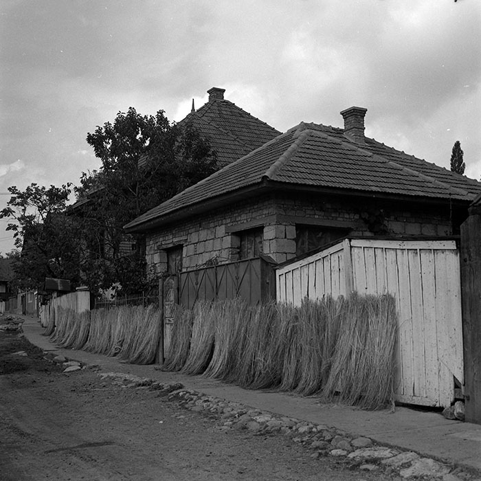 minerva_1986_c3_c2r2_003