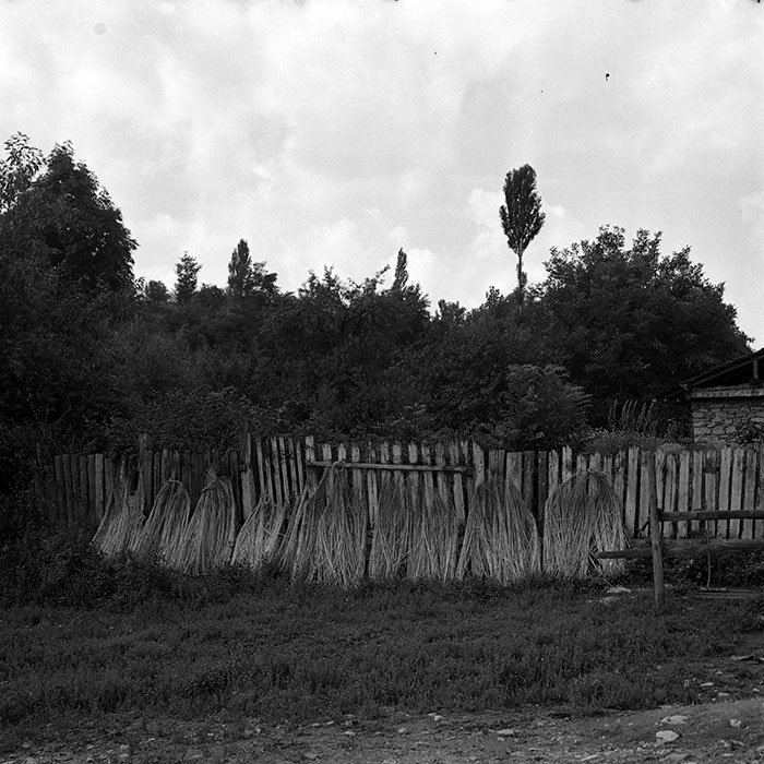 minerva_1986_c3_c2r2_004