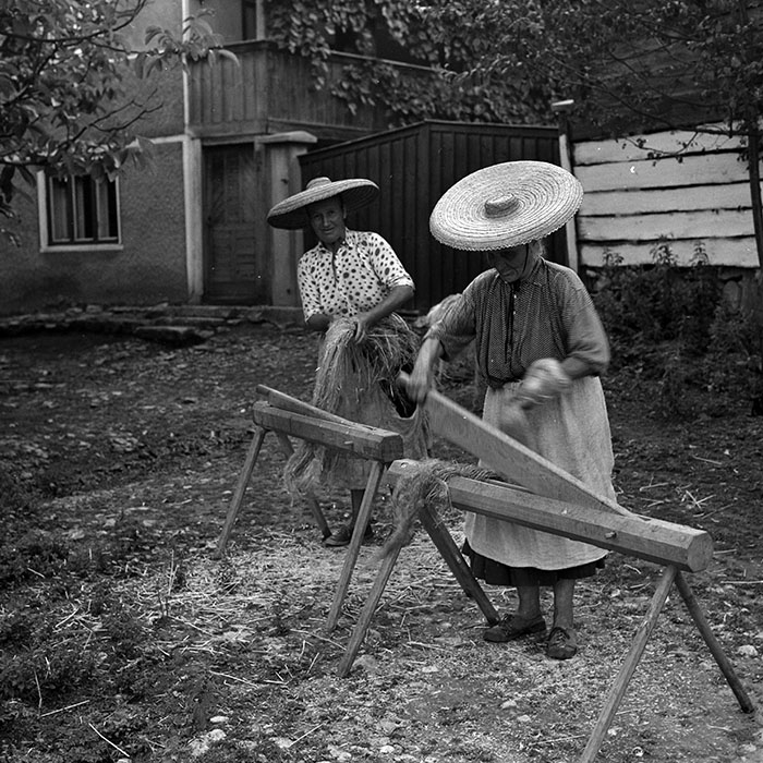 minerva_1986_c3_c2r2_007